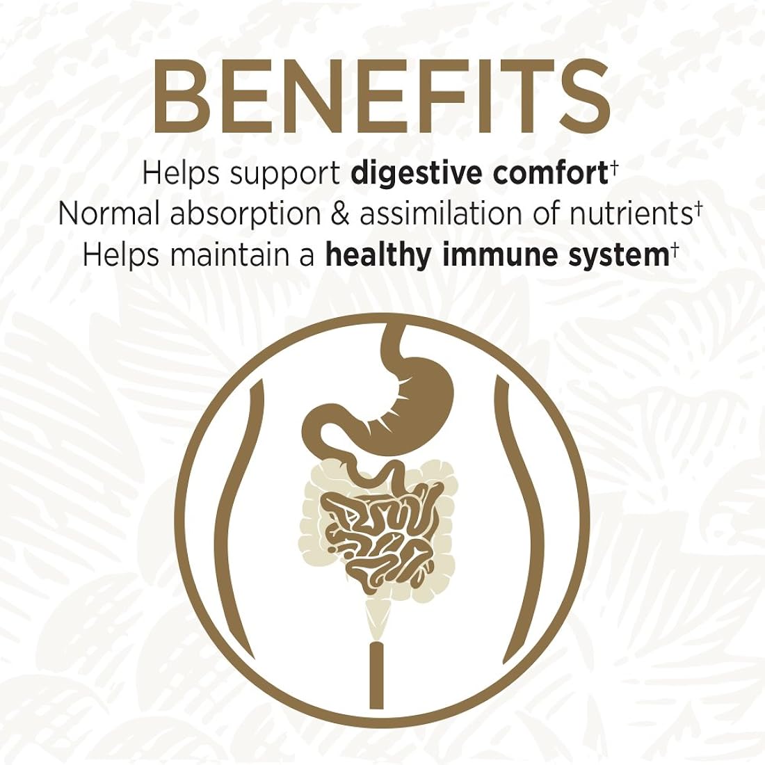 Suplementos Alimenticios saludable probiótico