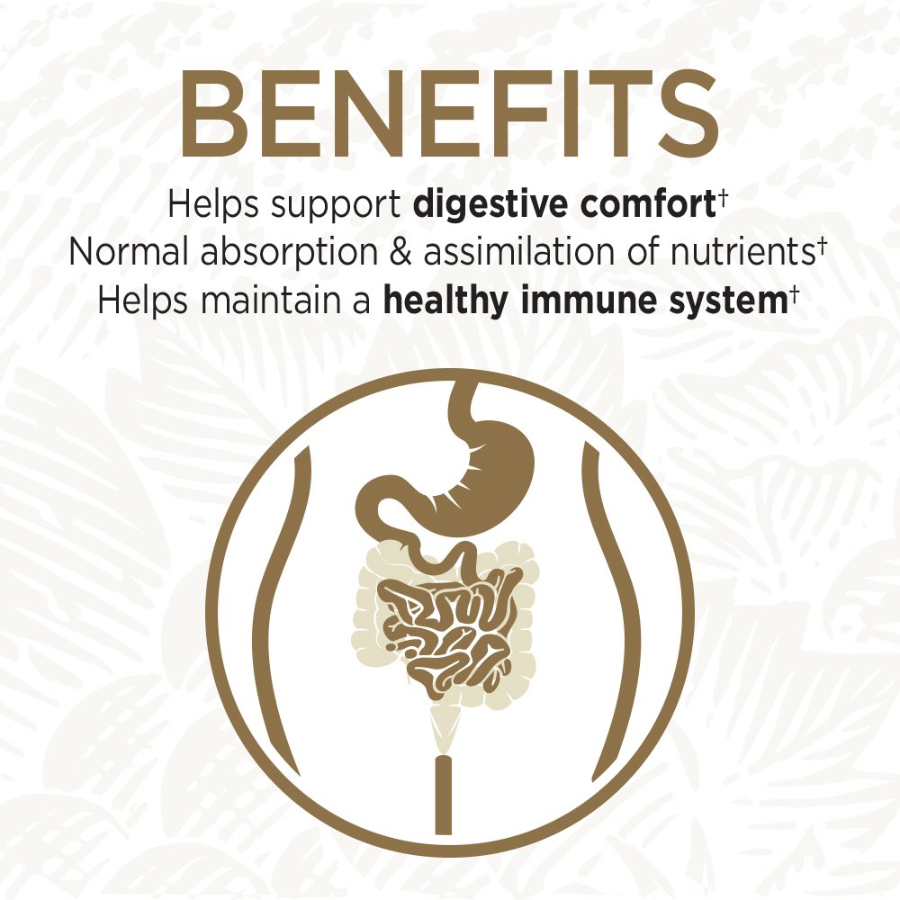 Suplemento de probióticos de alimentos integrales