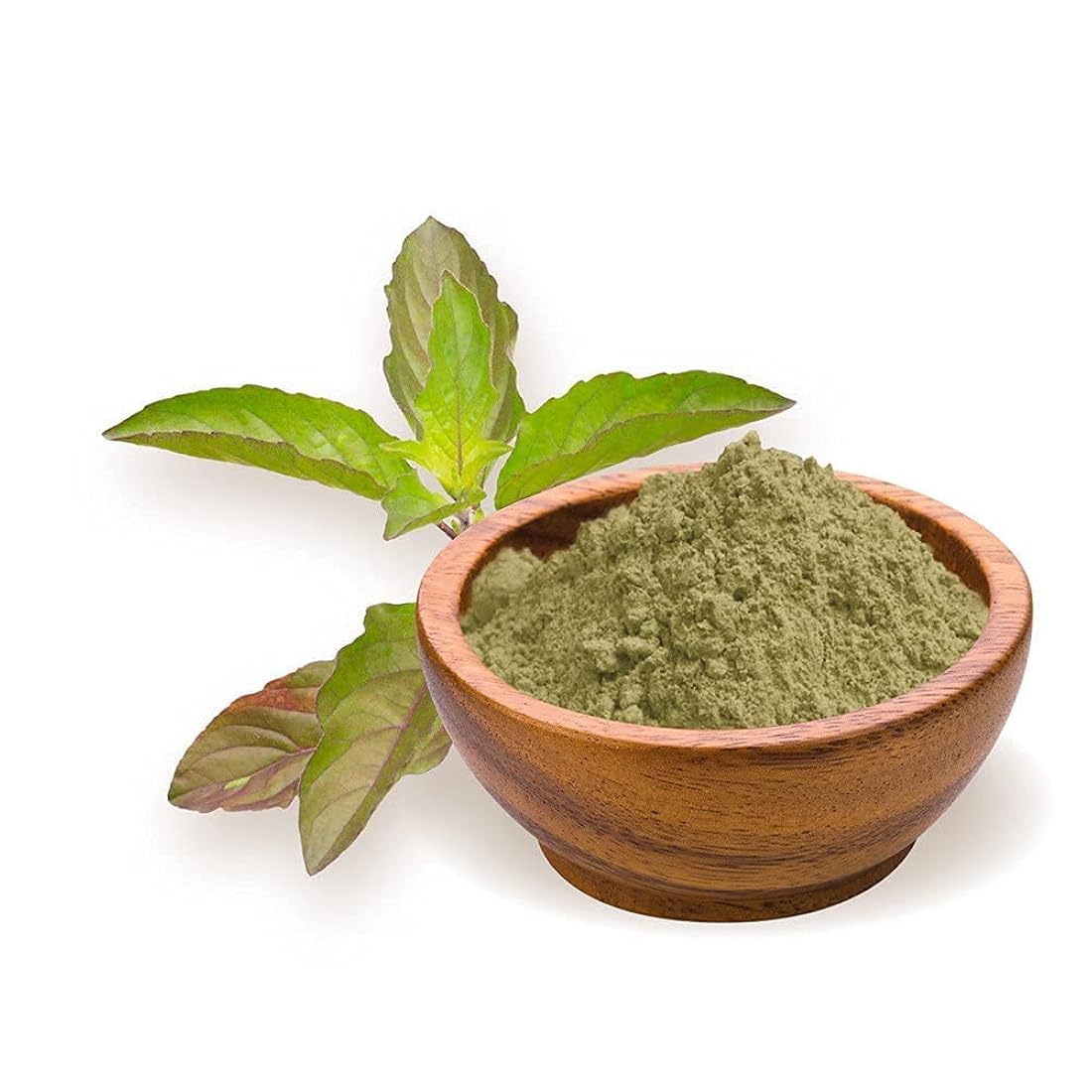Suplemento Polvo orgánico de Tulsi de albahaca sagrada 454 G