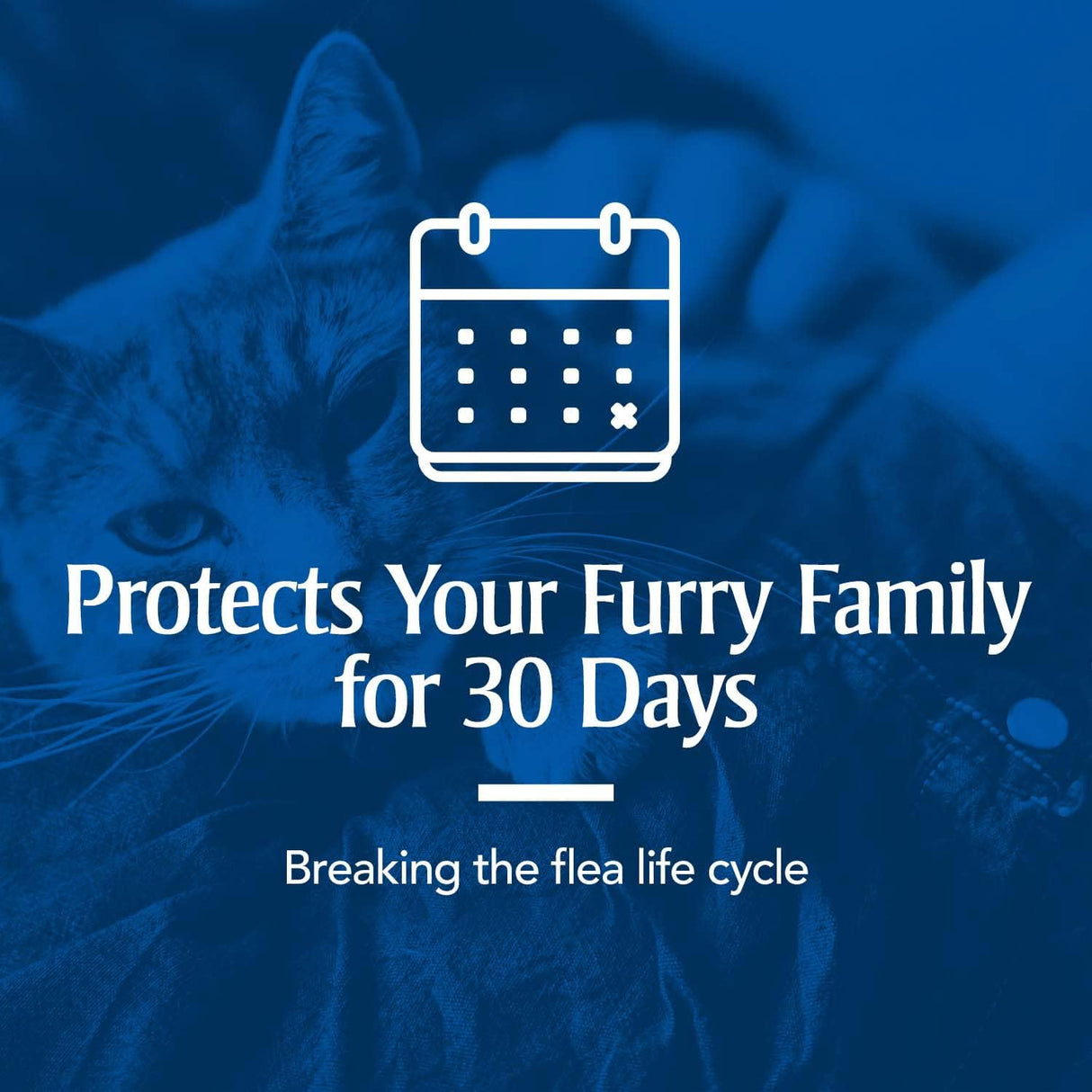 Tratamiento Antipulgas para gatos