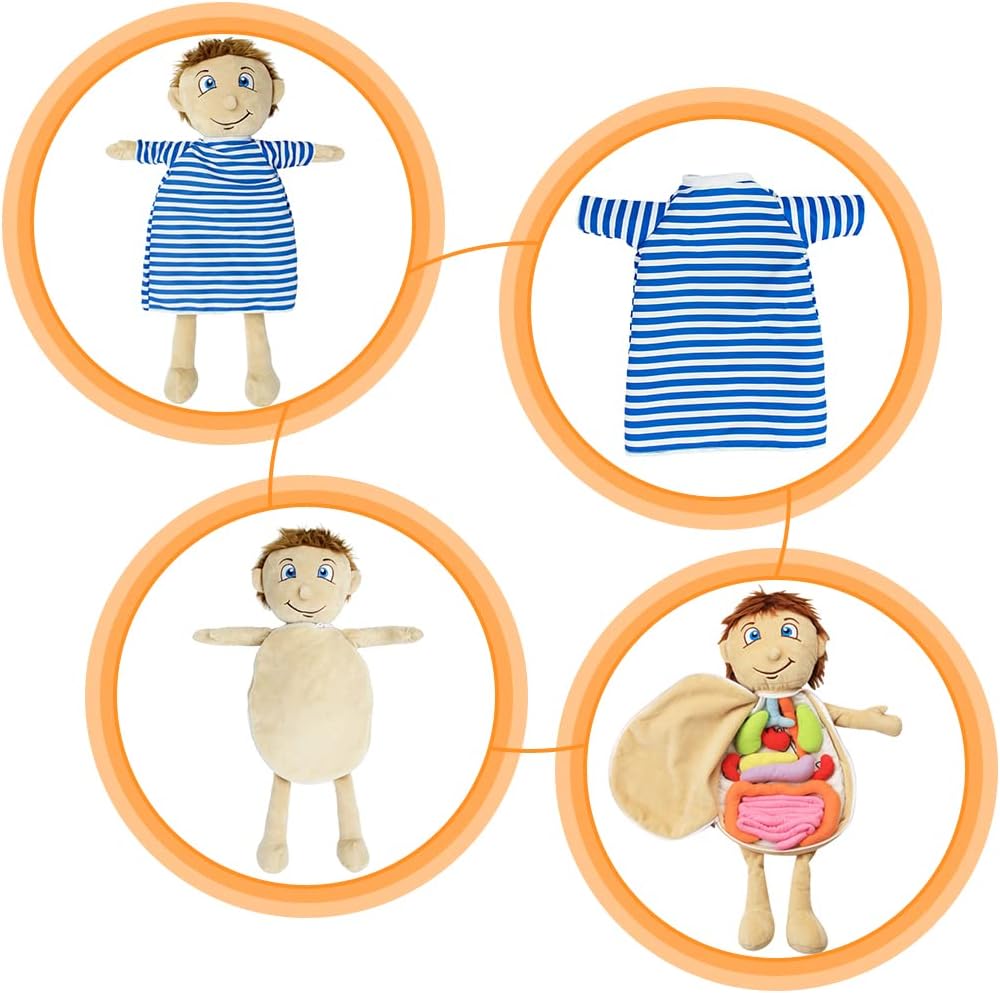 Modelo KAKIBLIN: Juguete anatómico de cuerpo humano para niños