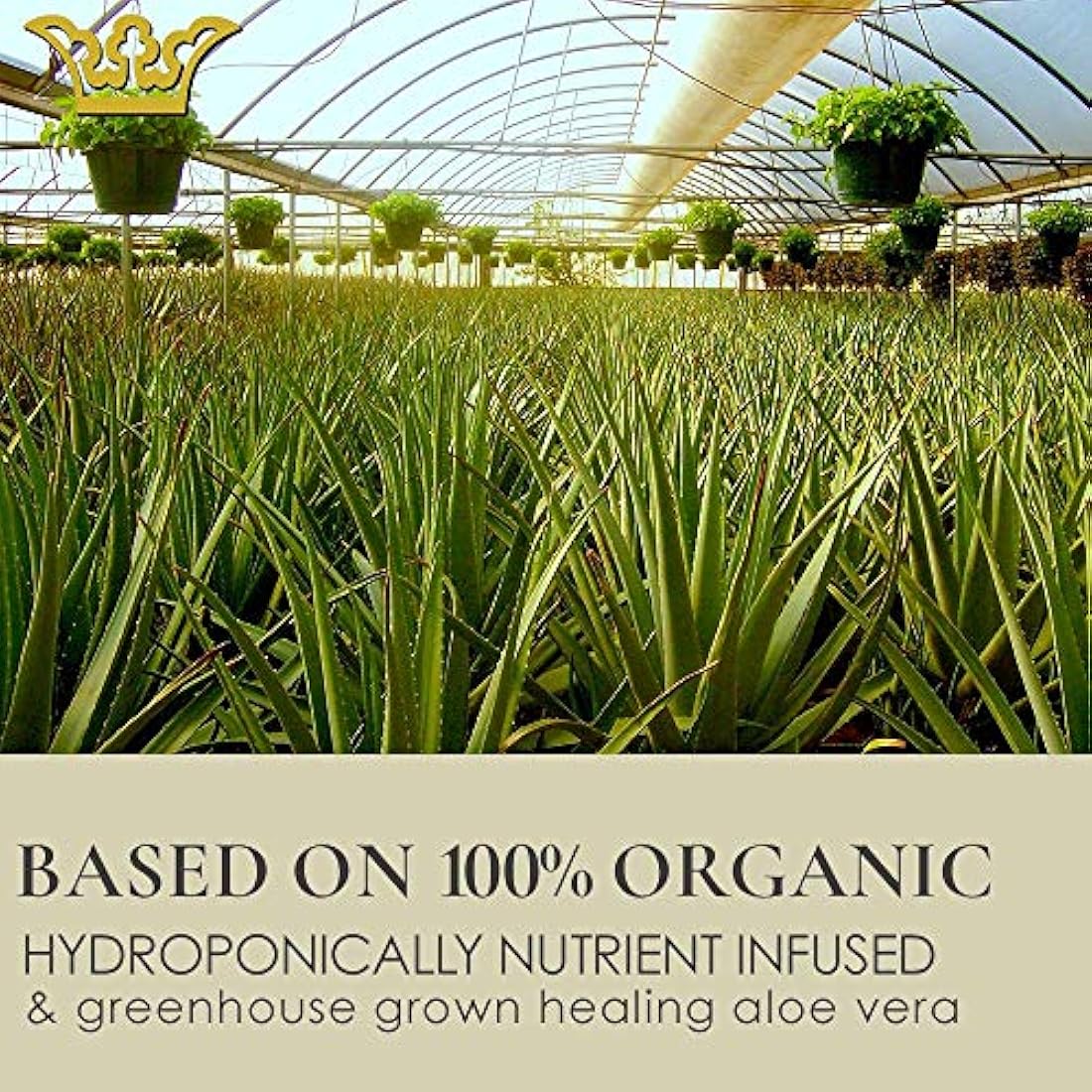 GUNILLA - Crema limpiadora facial a base de hierbas