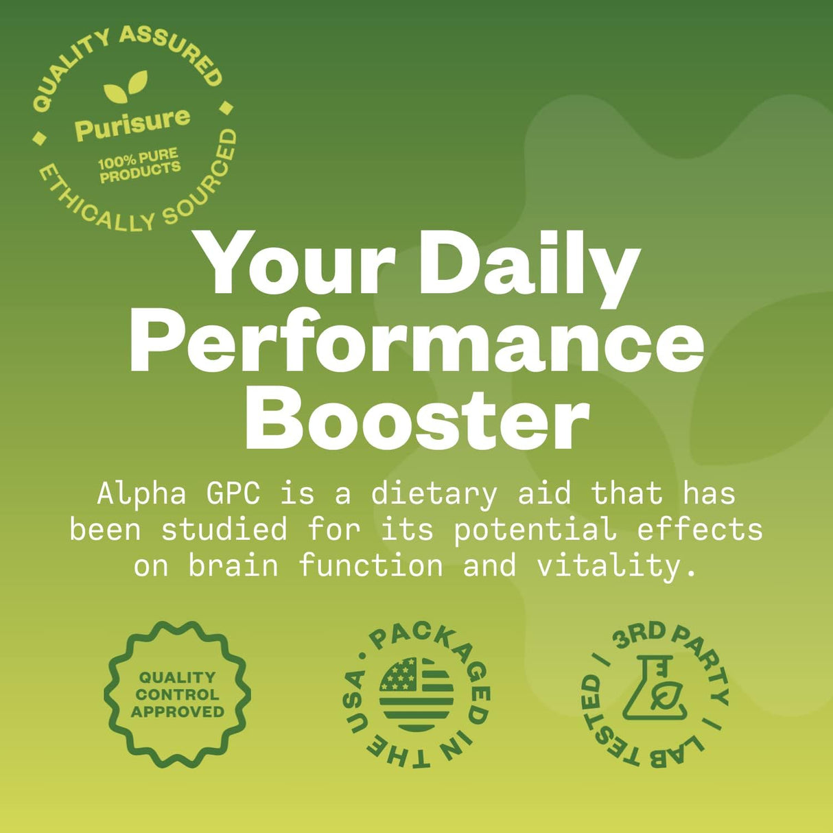 Suplemento Puro de Alpha GPC para Memoria y Concentración