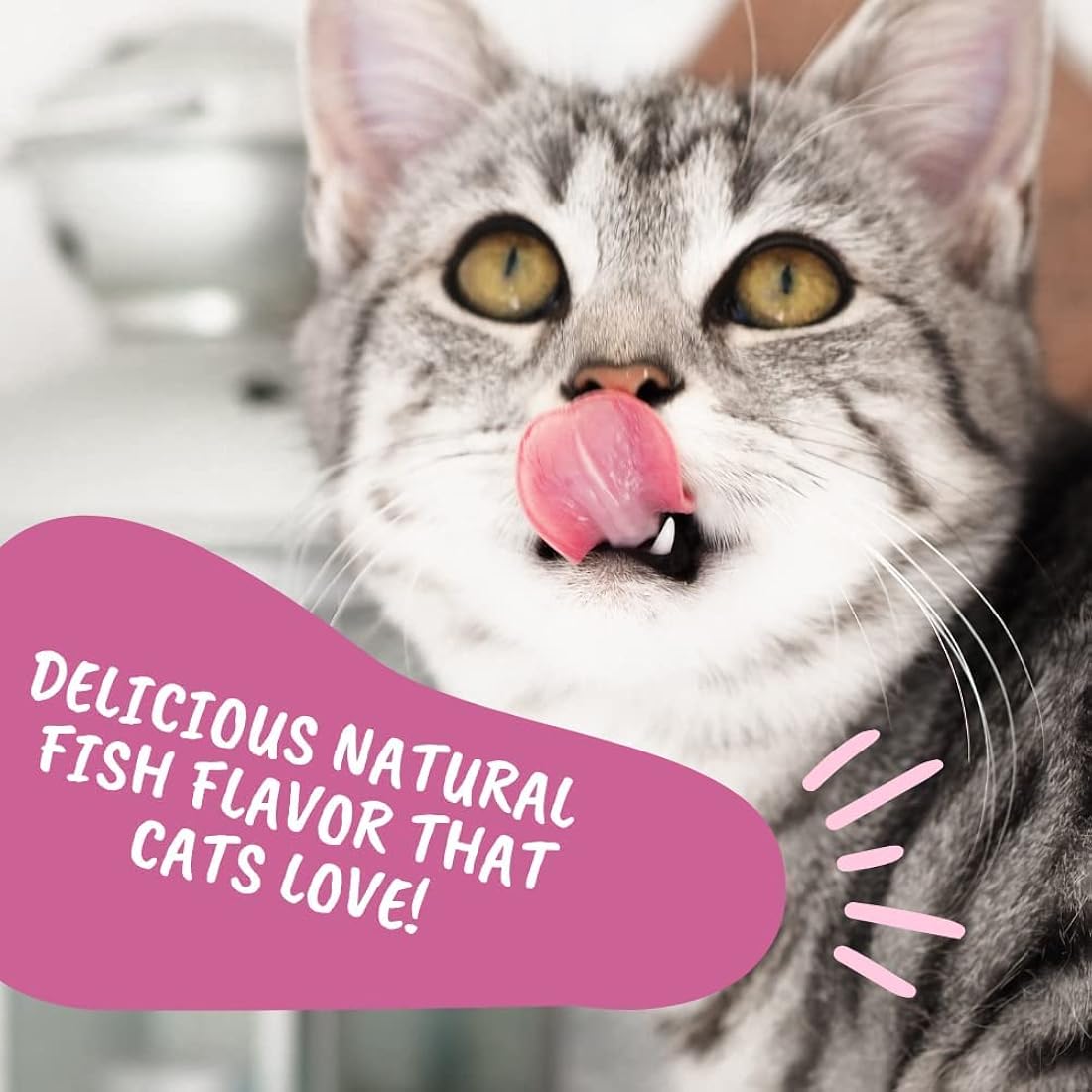 Suplemento de bolas de pelo Remedios para gatos