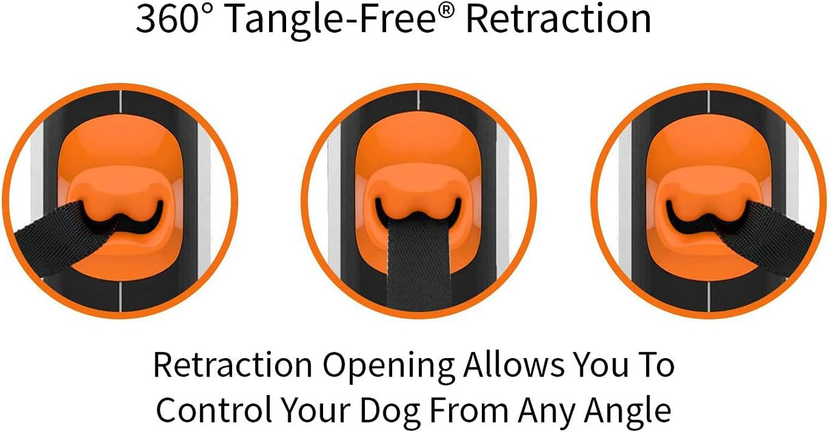 Correa retráctil 360º para perros, libre de enredos TUG