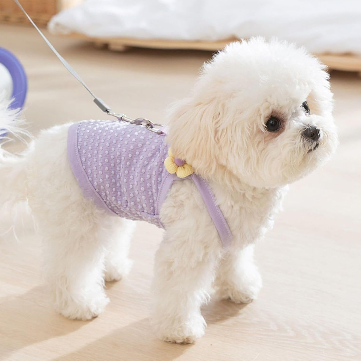 Camiseta Veraniega con Correa para Perros Pequeños