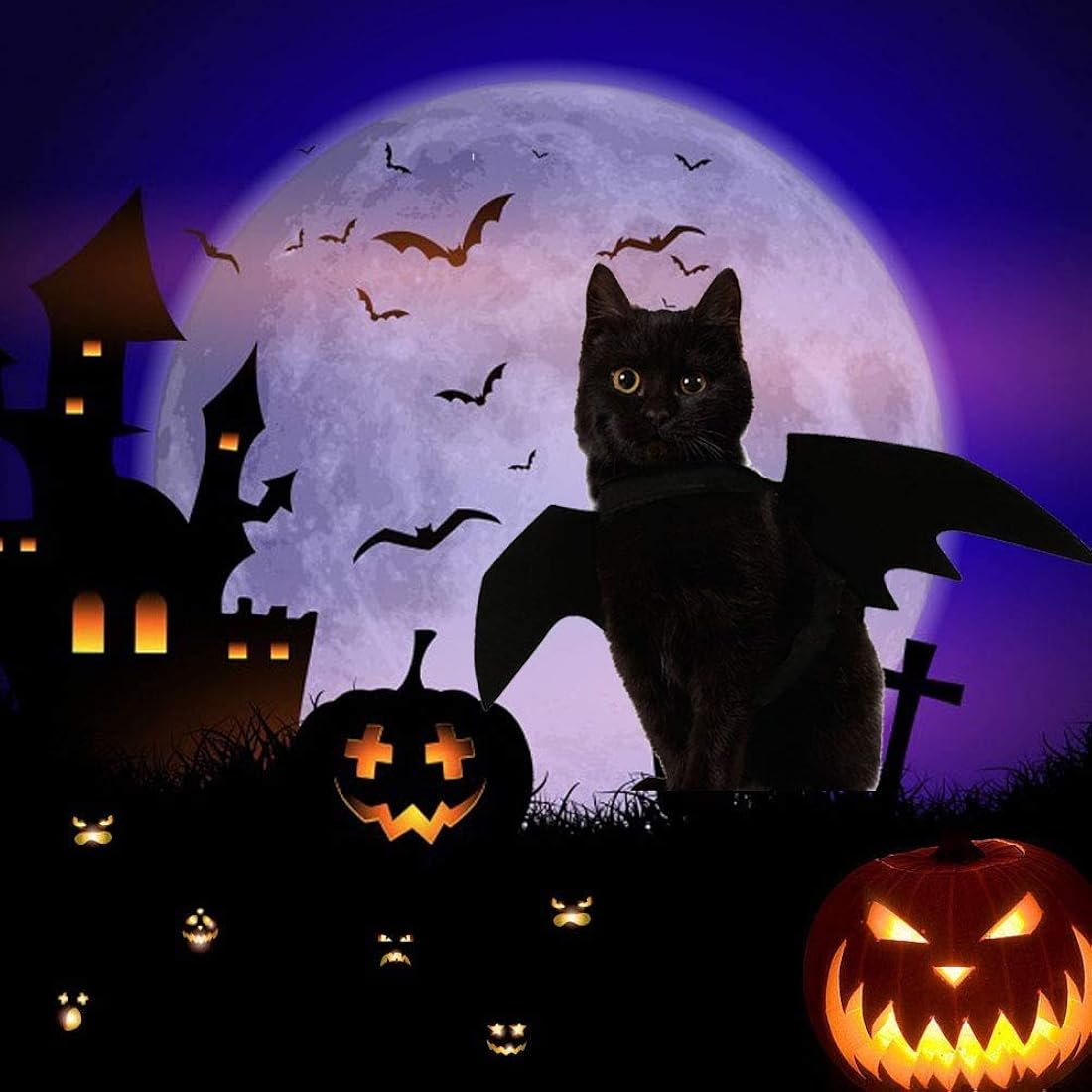 Disfraces de gato de Halloween con alas talla única