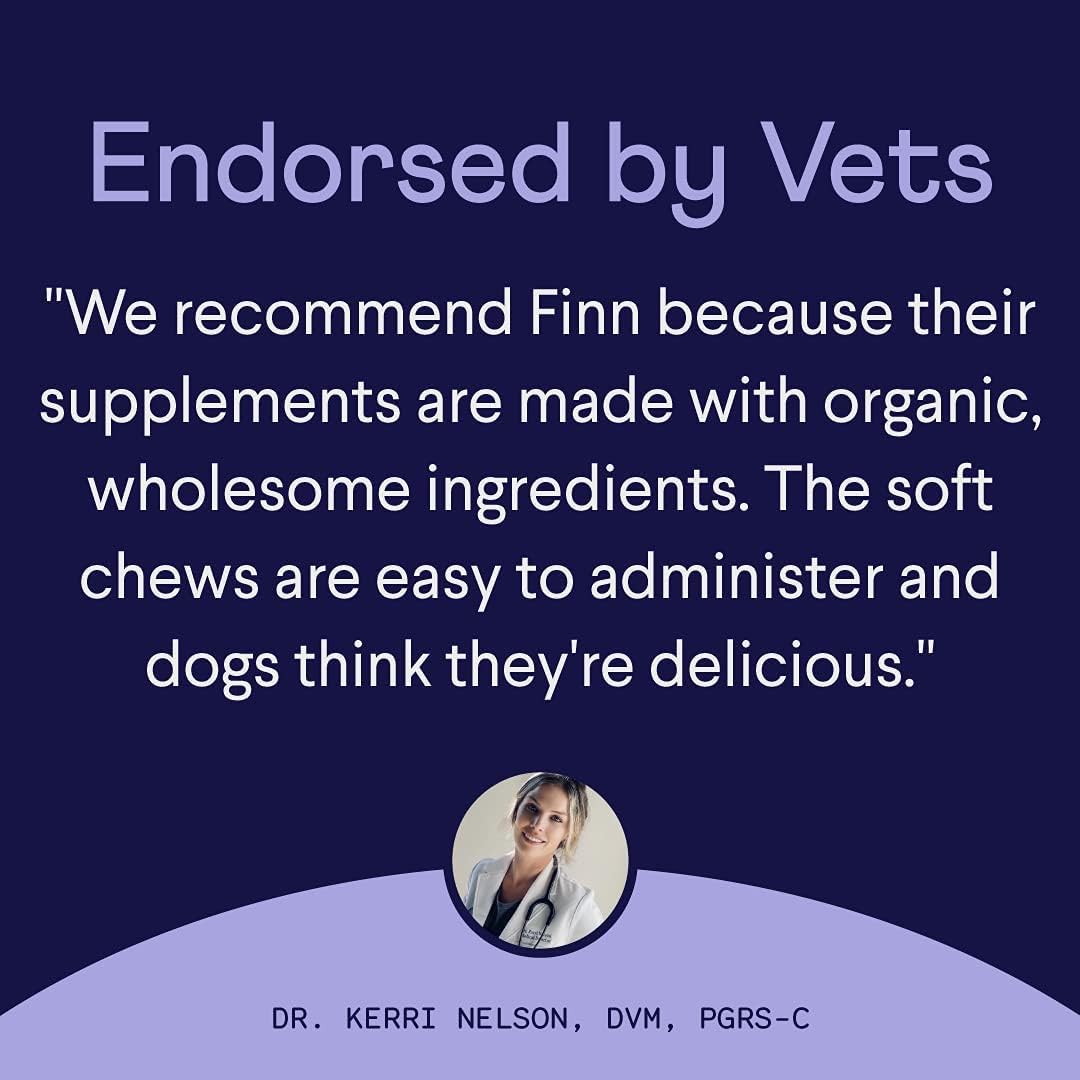 Vitaminas Probióticos para perros