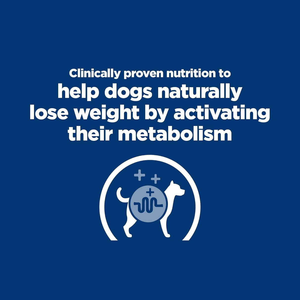 Alimento para Perros seco con fórmula de cordero y arroz