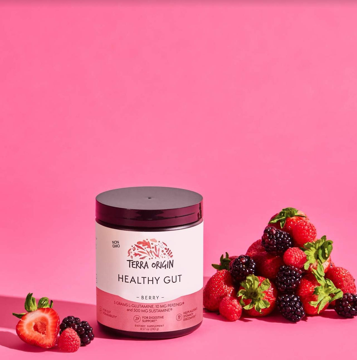 Suplementos Alimenticios Baya intestinal saludable