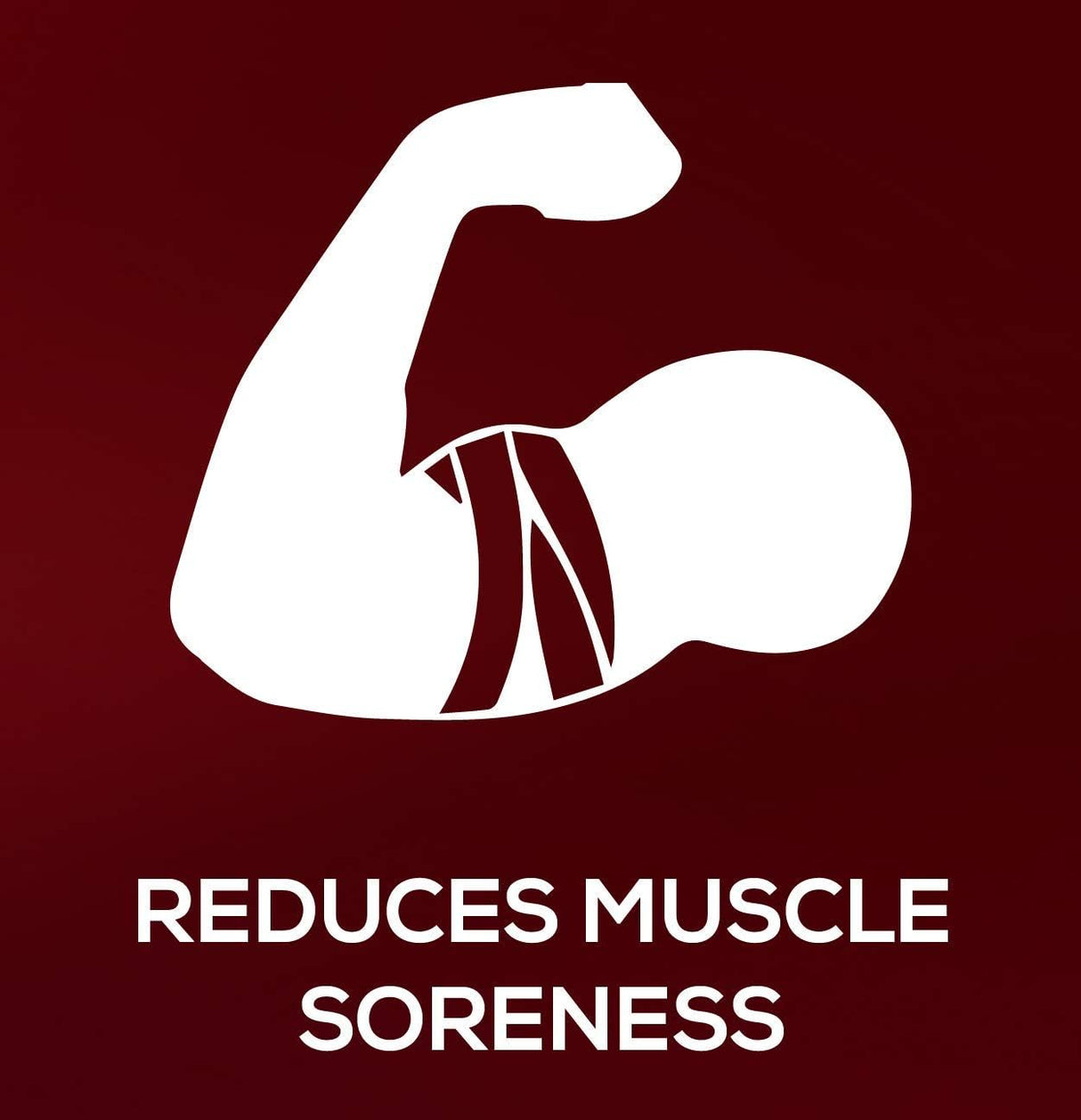 Suplementos Alimenticios fuente completa de proteína