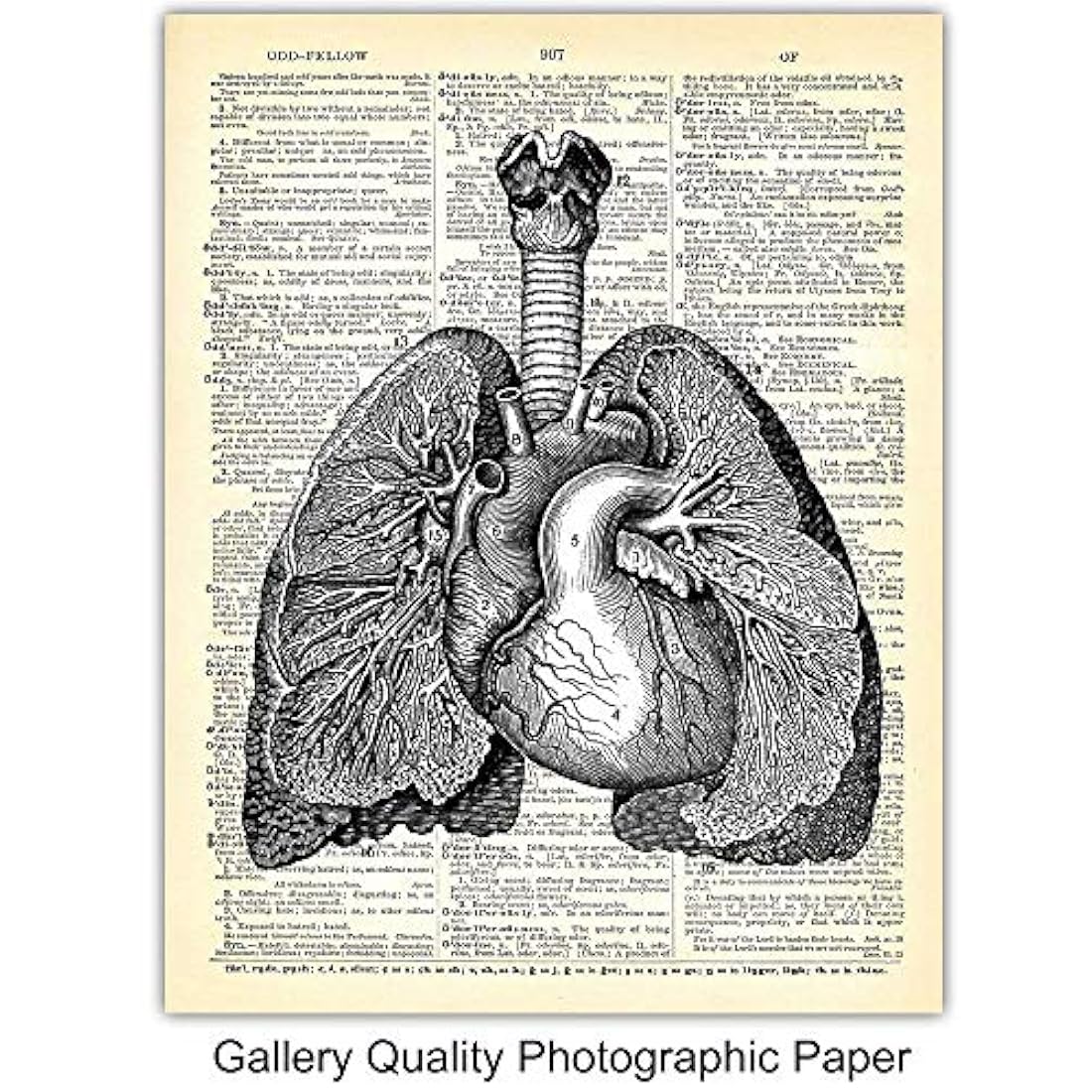 Impresiones de arte de pared 8x10 Vintage sin marco