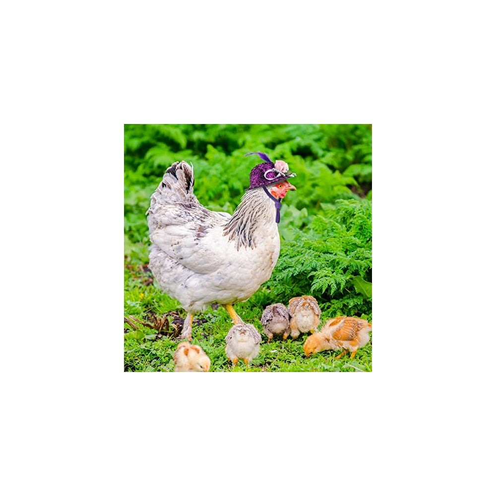 Disfraces 6 piezas de sombreros de pollo talla única