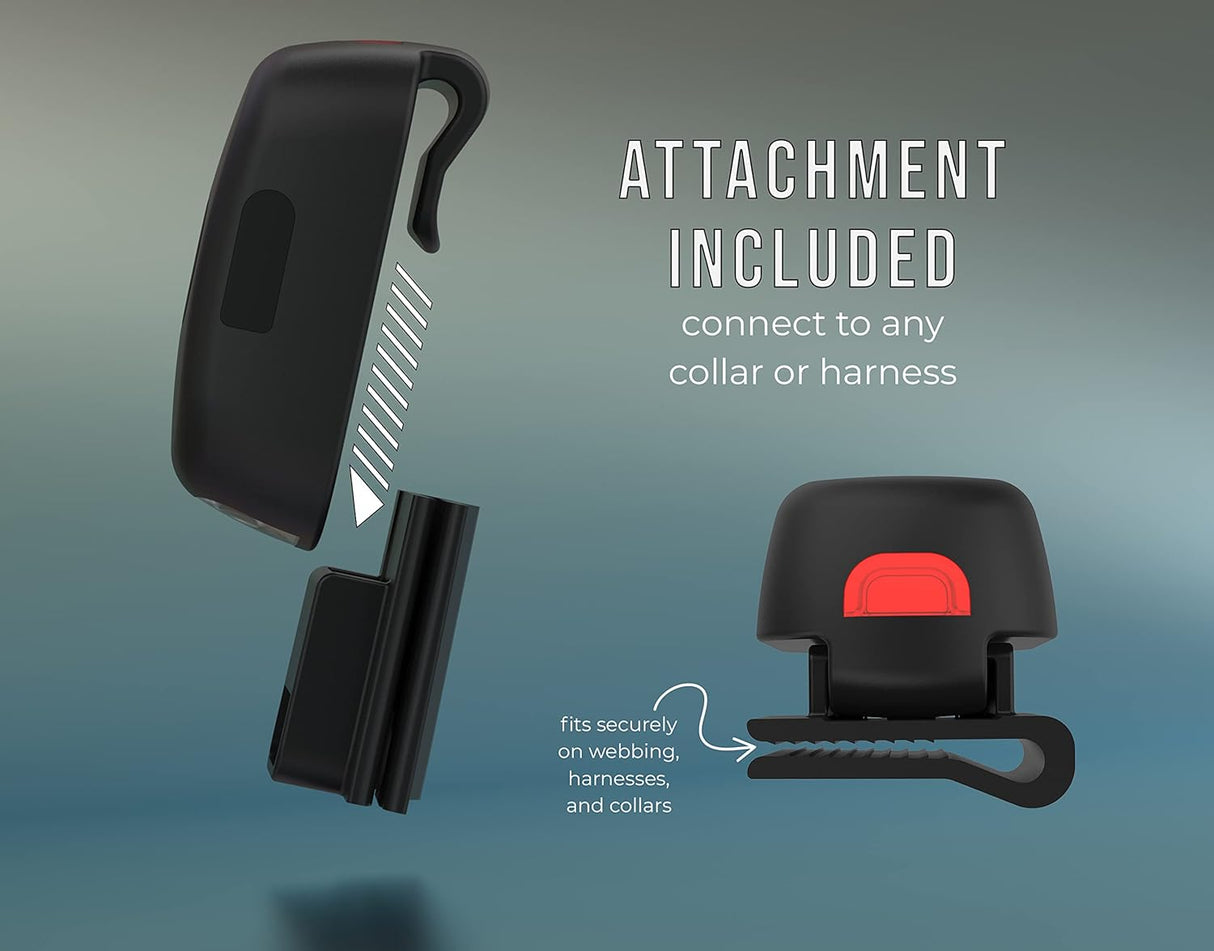 Correa retráctil ovalado de 360° sin enredos T008-MG-F TUG