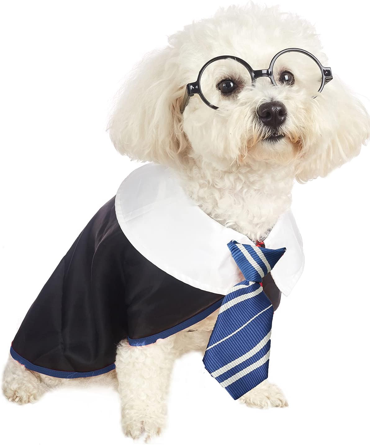 Disfraces de gato mago talla S