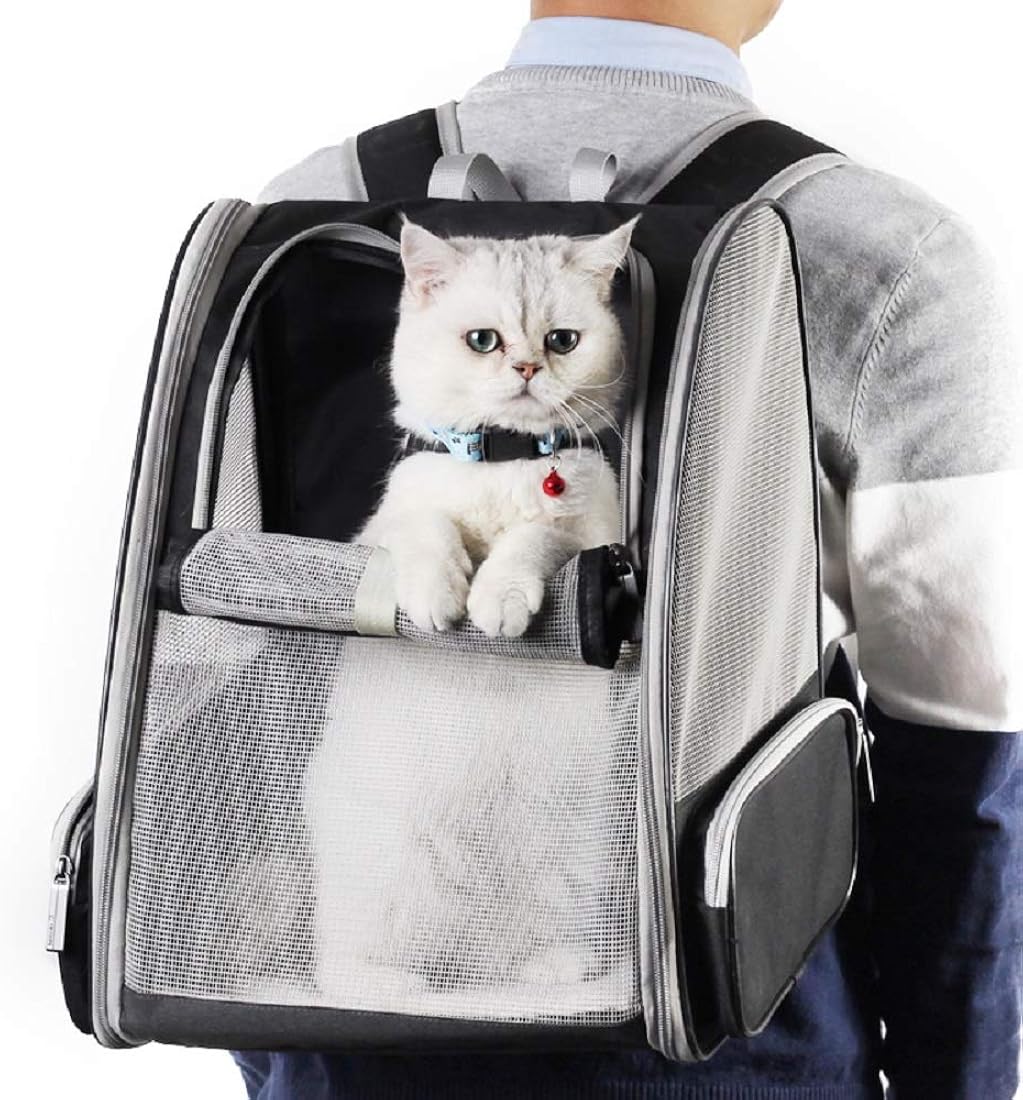 Mochilas de gatos para transporte
