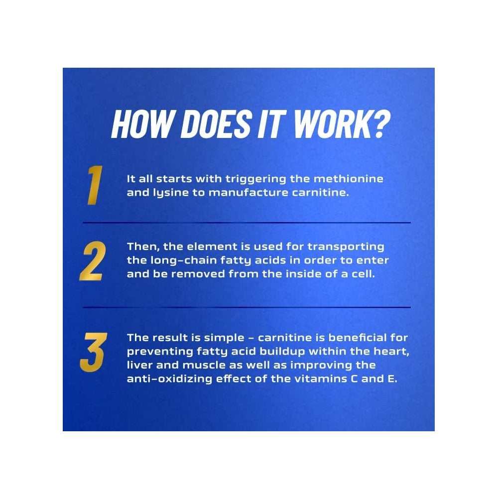 Suplementos Alimenticios apoyo de fuerza muscular magra