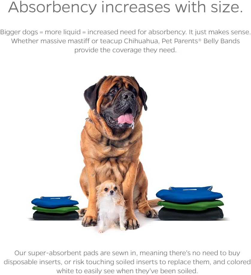 Bandas para vientre de perros lavables (3 PACK) de fundas