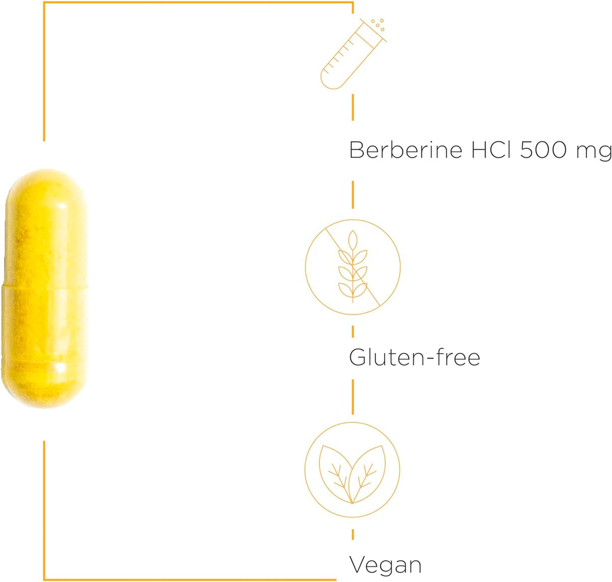 Suplemento Berberina 1000–1500 mg HCL para apoyo metabólico