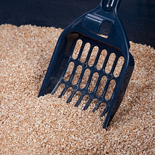 Caja de arena grande