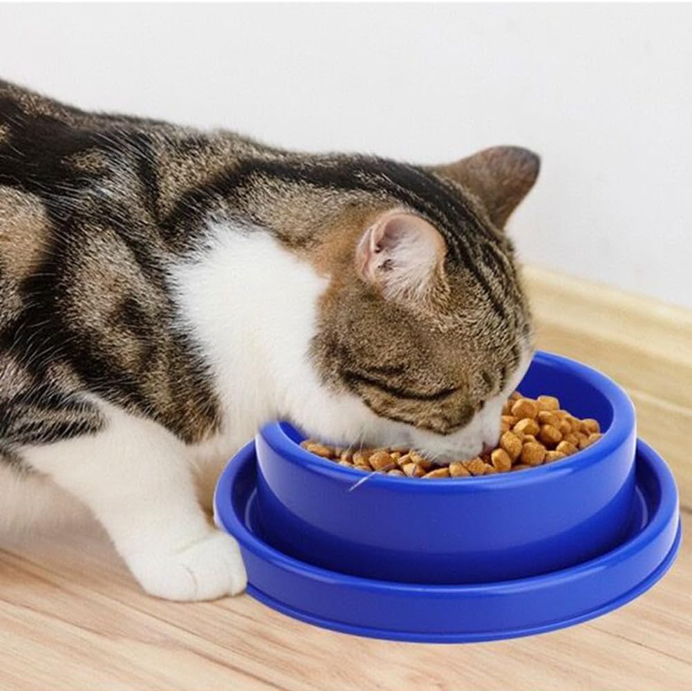 GRPET Tazón redondo a prueba de hormigas para perros y gatos