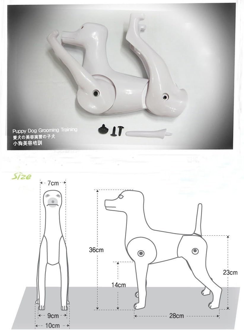 Maniquí de Perro D-Wig para Grooming, Plástico Reforzado