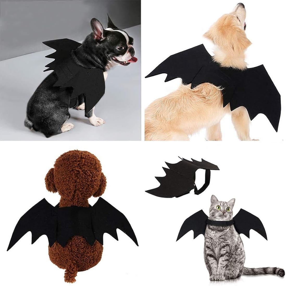 Disfraces de gato de Halloween con alas talla única