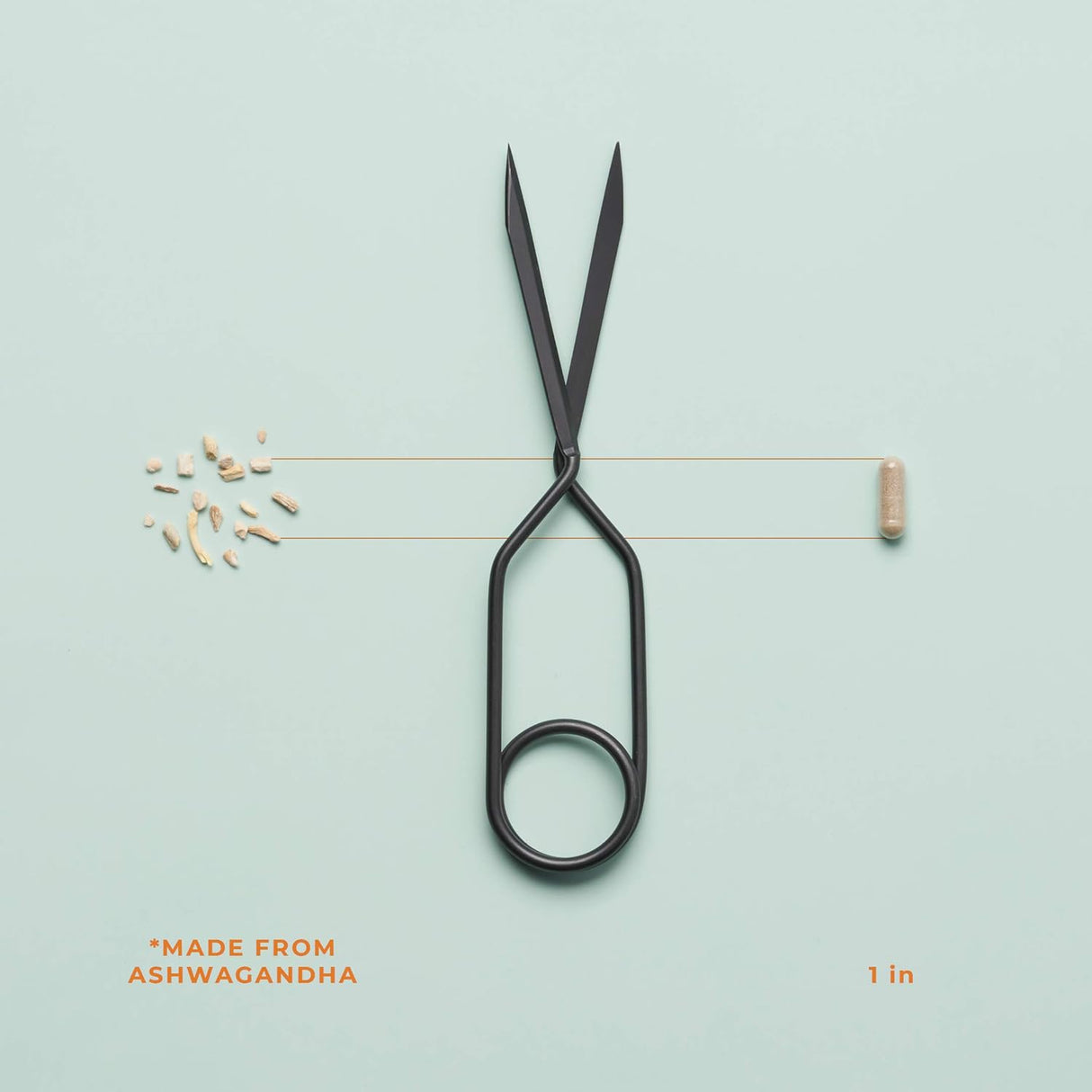 Suplementos Alimenticios Apoya la salud cardiovascular