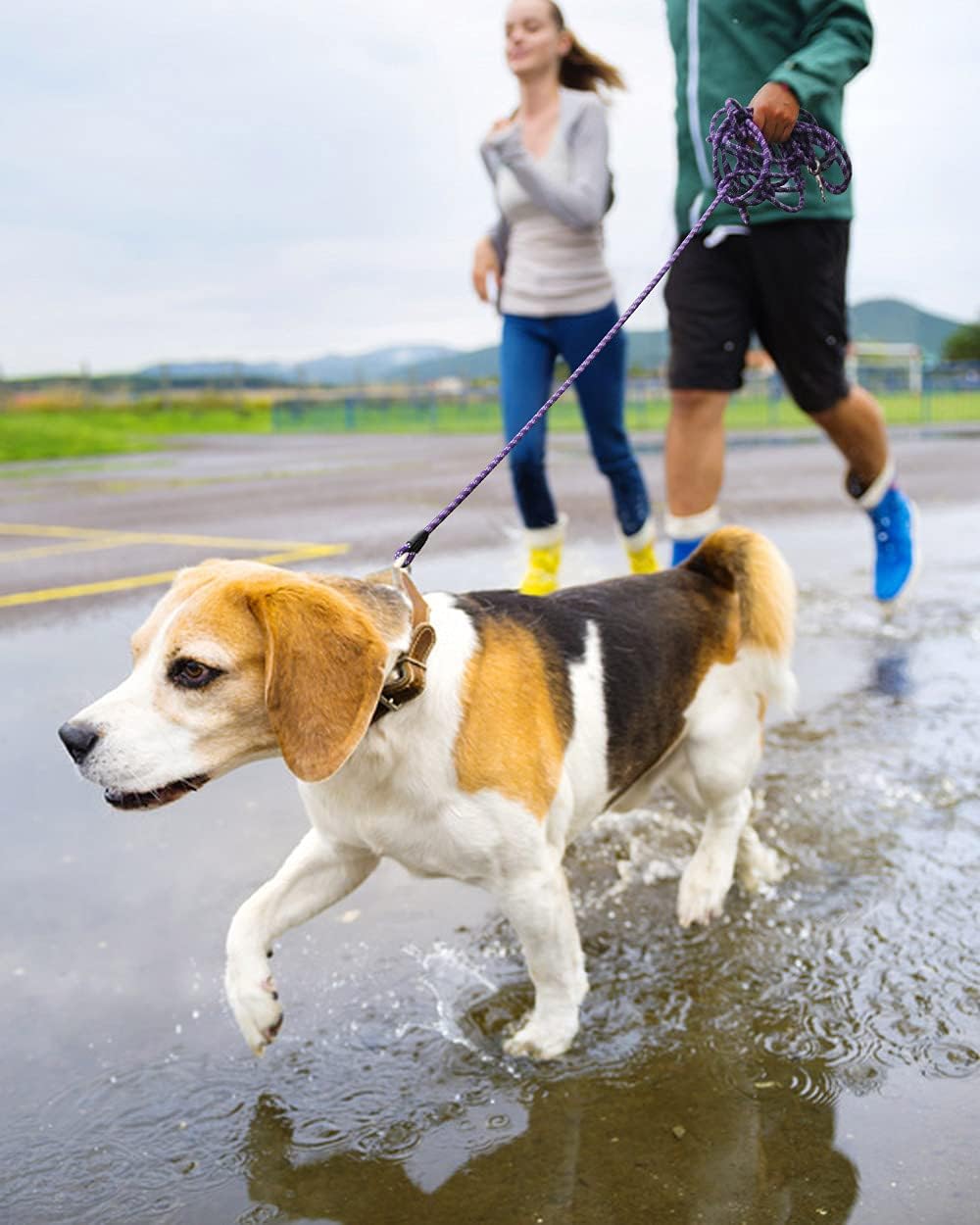 Correa Larga para Perros, Entrenamiento, Paseo, Camping