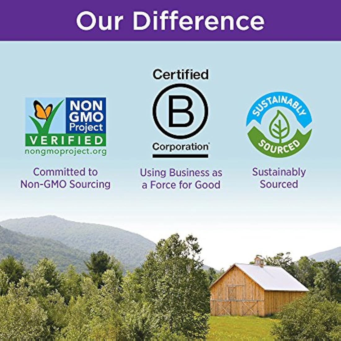 Nuevo Capítulo Gingerforce, 6041, cápsula vegetariana, 1