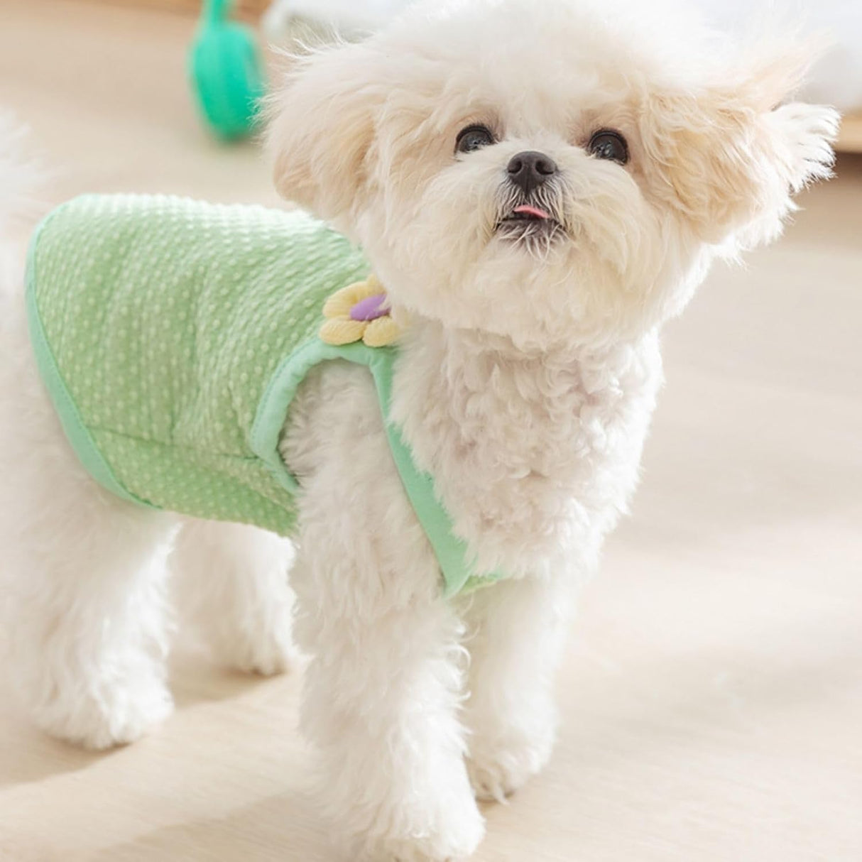 Camiseta Veraniega con Correa para Perros Pequeños