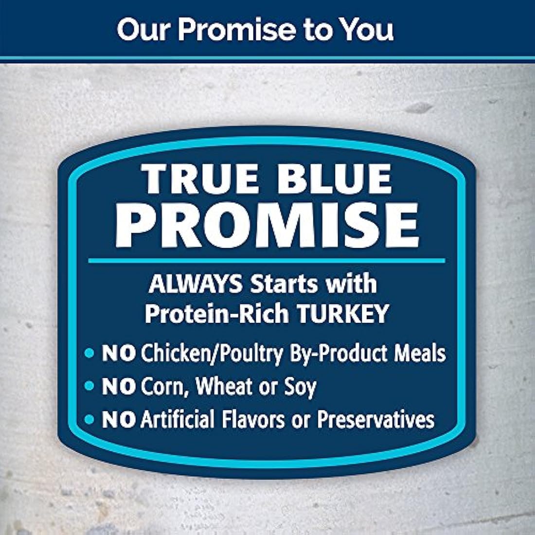 Alimento húmedo para gatos con patos