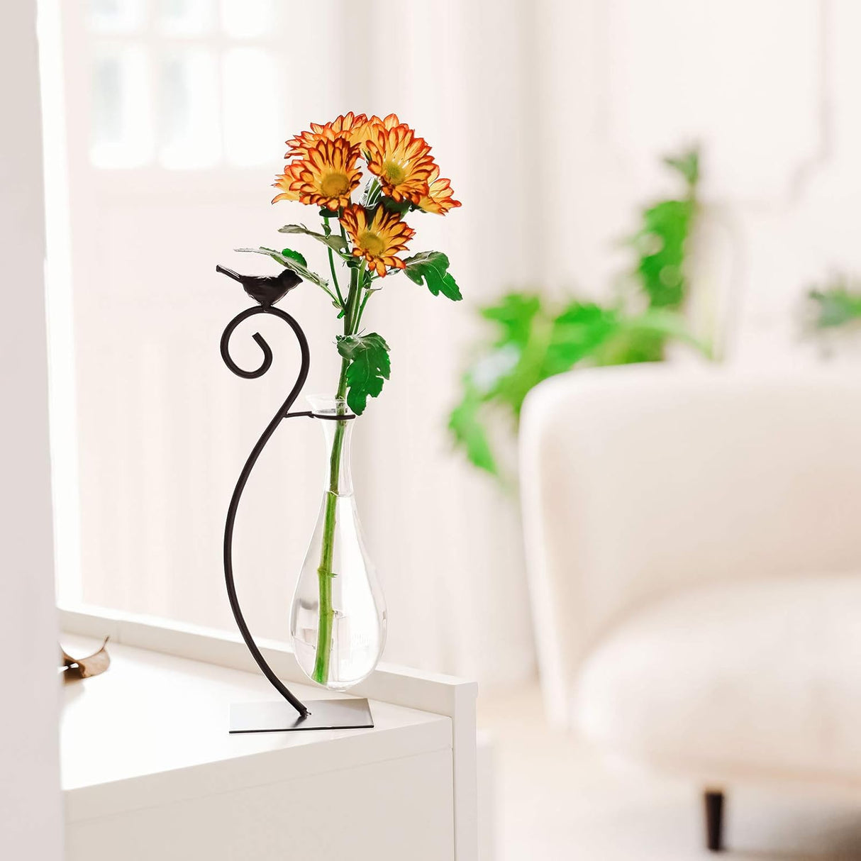 Marbrasse - Jarrón hidropónico de cristal de sobremesa