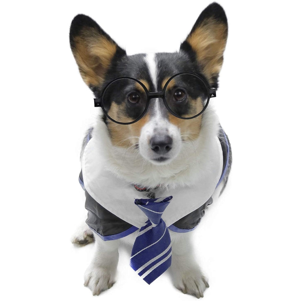 Disfraces de gato mago talla S