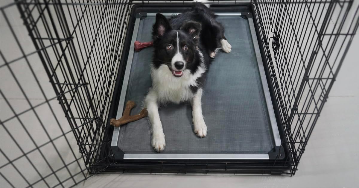 Cama para perros FXW Titanest, resistente, 50 pulgadas, lavable