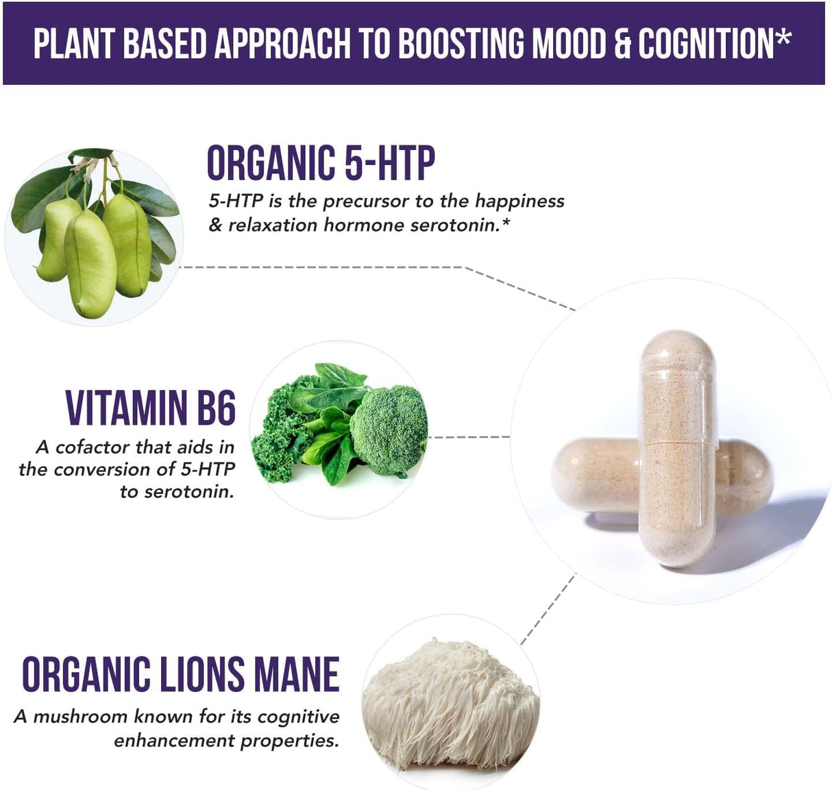 Suplementos Alimenticios además de vitamina B6 y melena