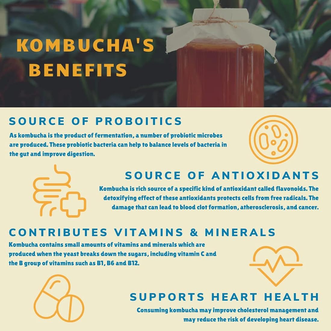 Bambucha Kombucha Paquete variado de 12 unidades