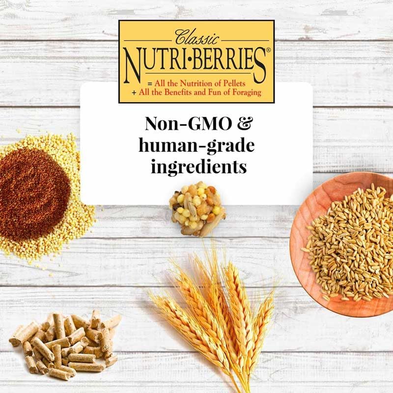 Alimento para pájaros para mascotas 4 libras