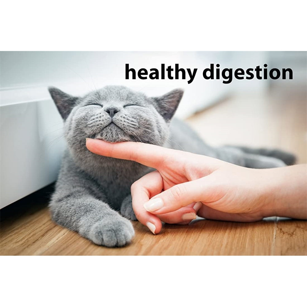 DrFormulas Nexabiotic Probióticos para Gatos en Polvo