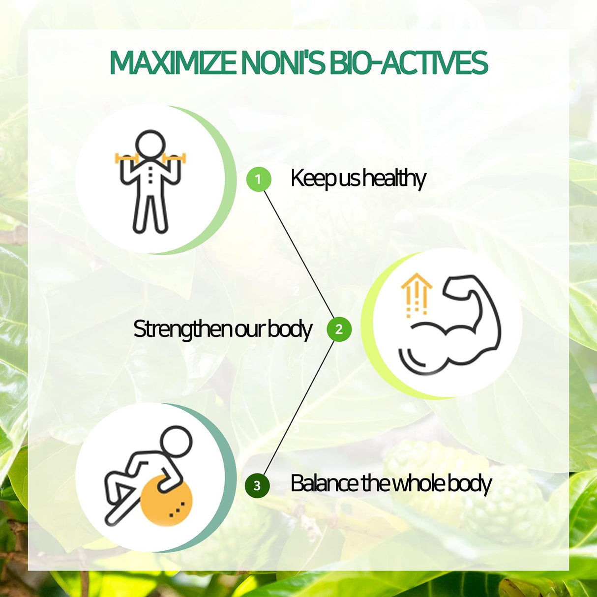 Royal Tonga Noni - Jugo NONI 100% auténtico (caja de 2 unidades), botellas de 25 onzas, jugo de noni, jugo de nonie, bebida de noni, jugo de noni, jugo de noni, jugo de noni, fruta de noni, real noni