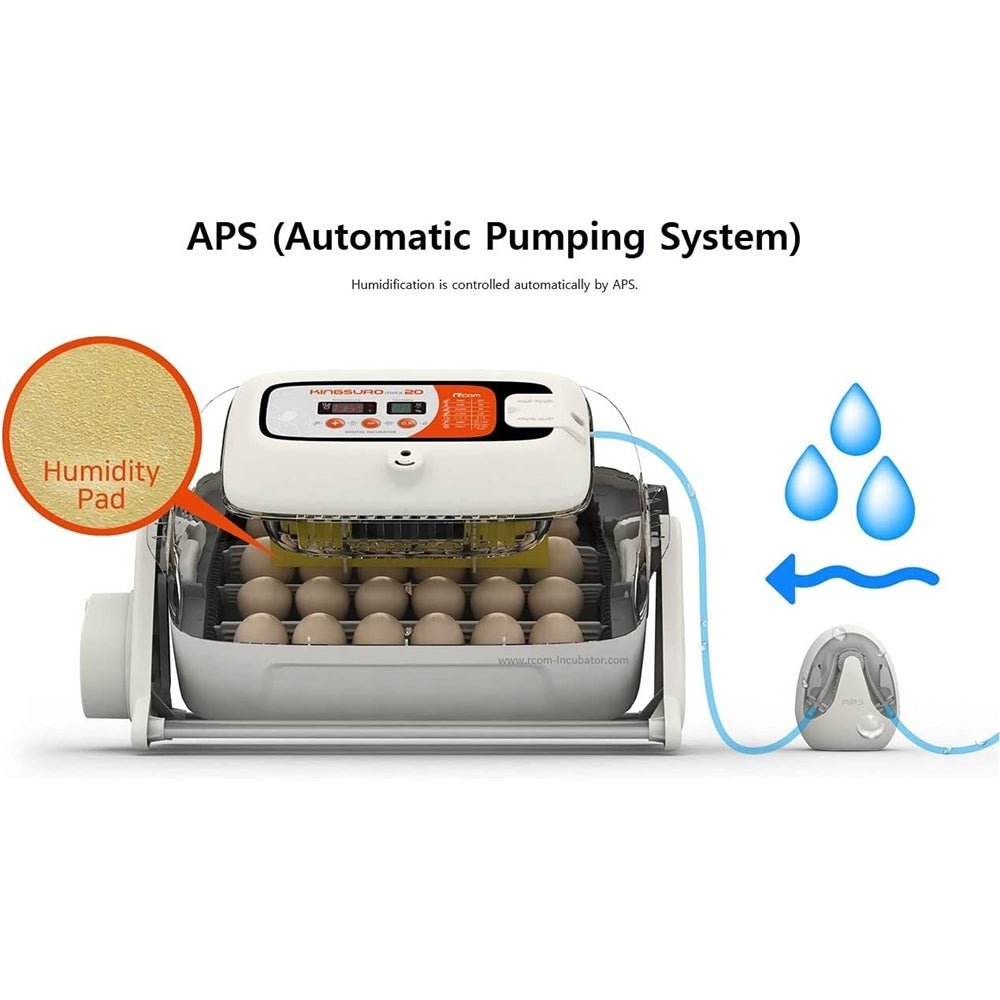 Incubadora de huevos digital totalmente automática