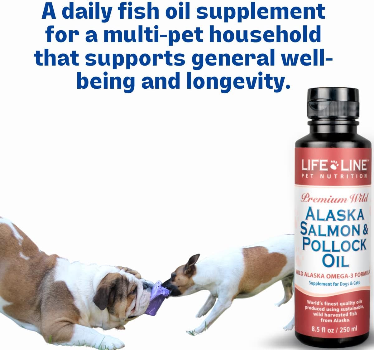 Suplementos Aceite de salmón y abadejo de Alaska para gatos