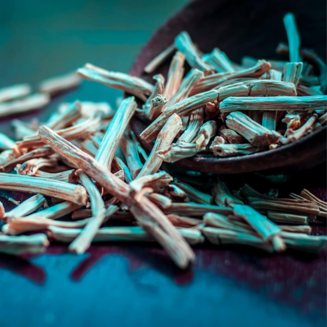 SVATV Shatavari Powder Espárragos racemosos Hierba 8.01 oz