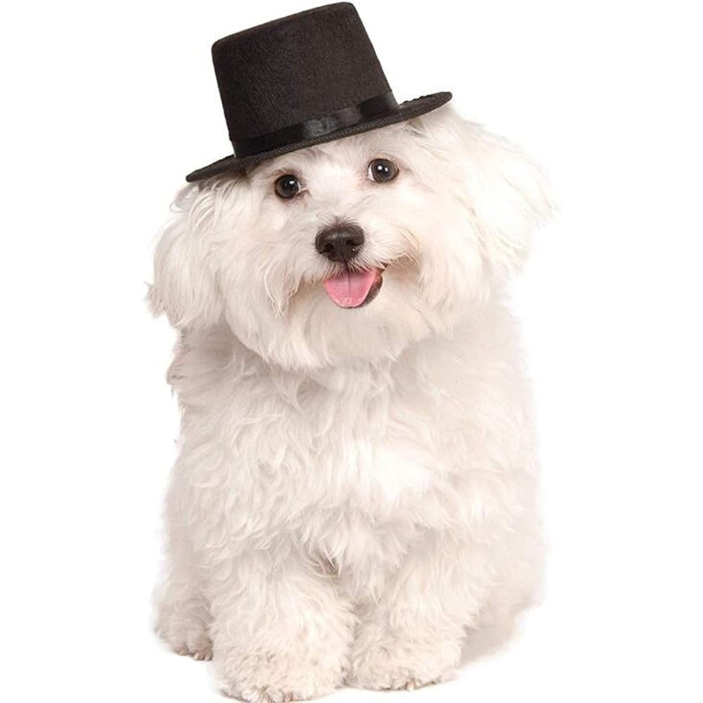 Disfraces de Pajarita ajustable para mascotas talla única