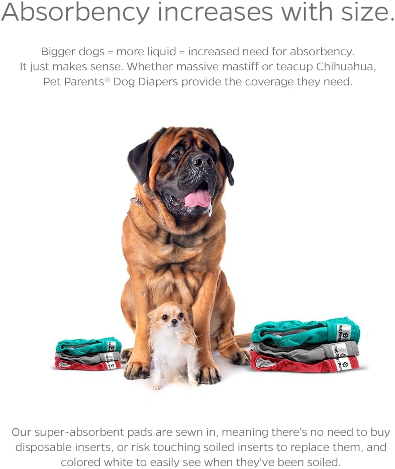 Pet Parents -Pañales lavables perros(mediano,Southern Belle)