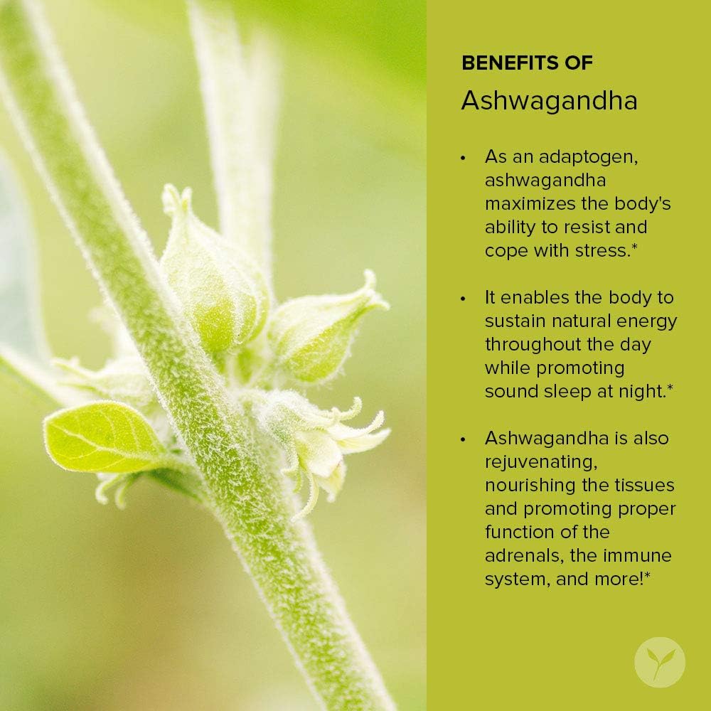 Extracto Orgánico de Ashwagandha, Banyan Botanicals, 1 fl oz