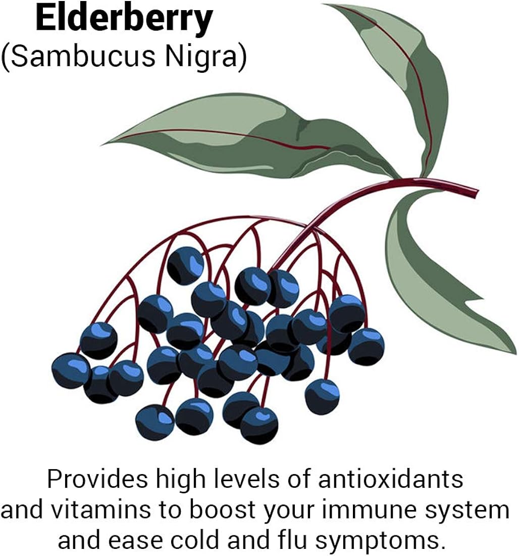 Suplemento Inmune Booster Apoya la inmunidad veganos
