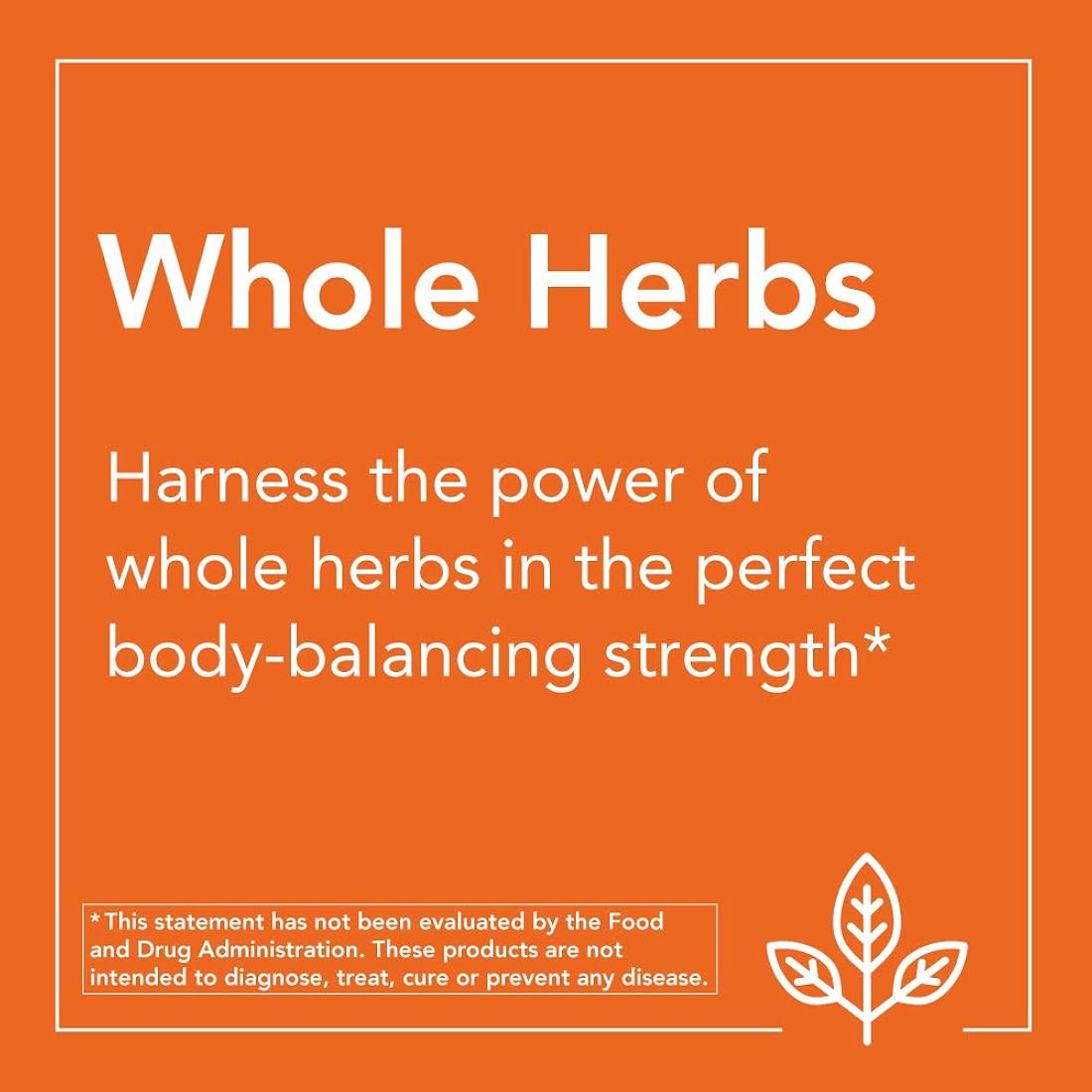 Suplementos NOW Raíz de sello de oro (Hydrastis canadensis)