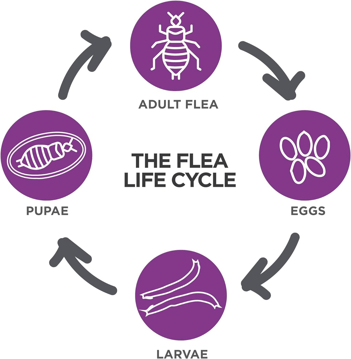 Tratamiento de pulgas para gatos pequeños y medianos