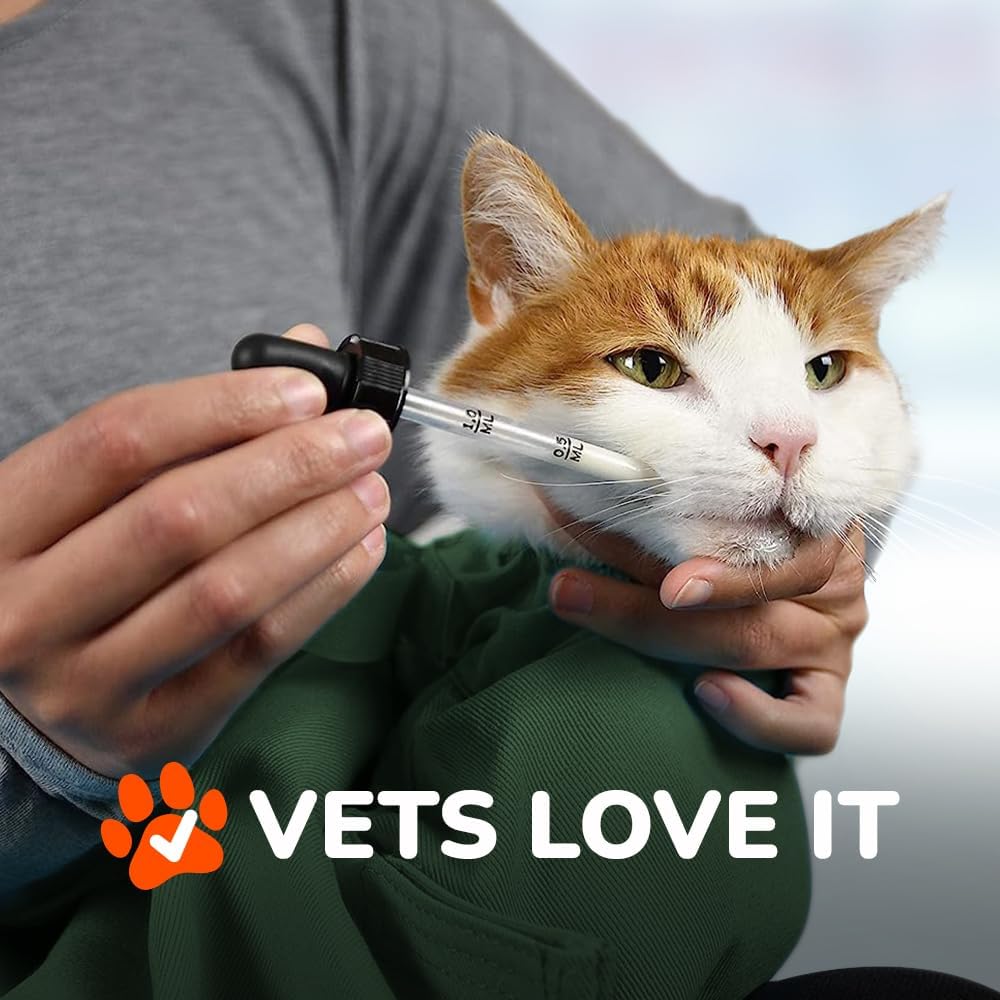 Transportadora Cómoda X-Large Cozy Comfort para Gatos